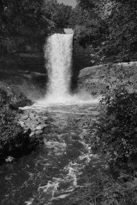 RLS8943bw