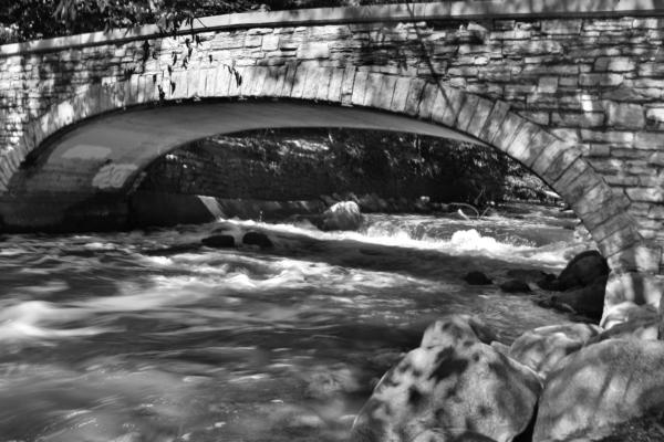  RLS8968bw