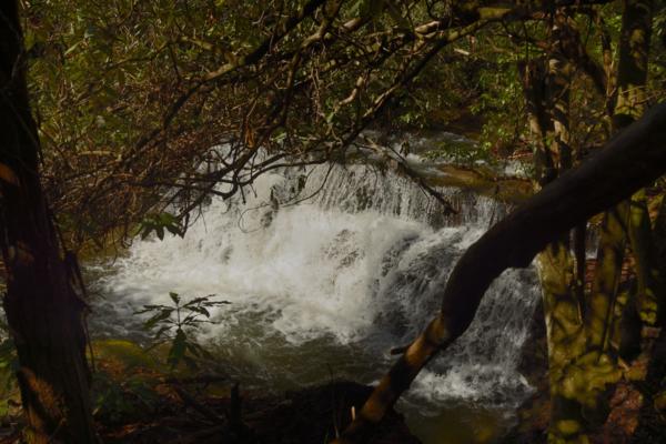 The second falls on Crow Creek.  Could not get closer without going in the creek