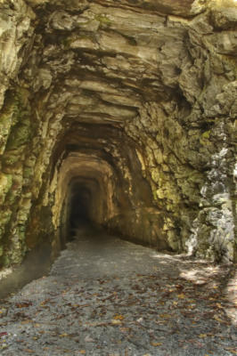 Stumphouse Tunnel near Isaqueena Falls