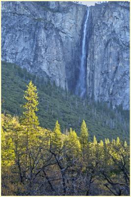 Ribbon Fall with first light on the trees in the valley, Tuesday morning