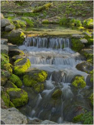 Fern Spring, Thursday