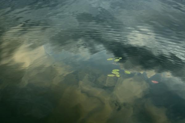 Lake reflections 