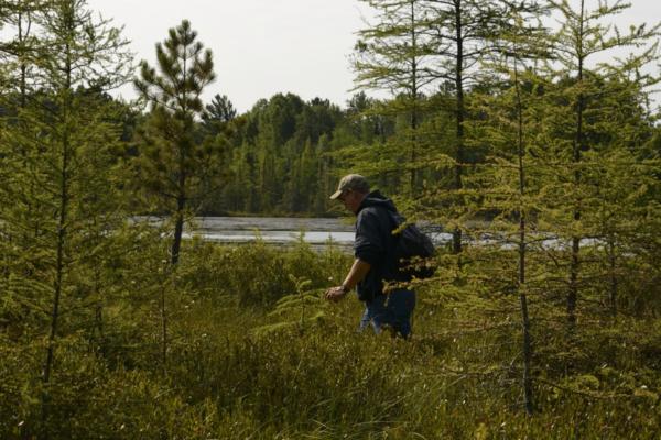 Jim at work, looking for something in the bog