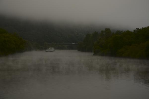 Along the Danube on a foggy morning