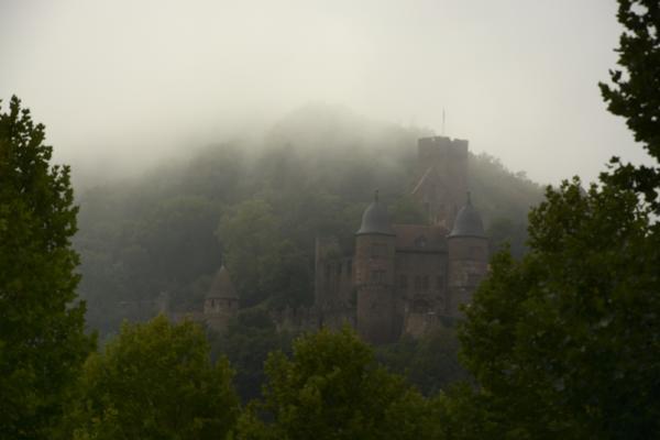 Wertheim Castle in the fog